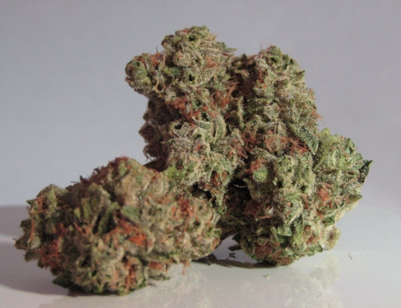 Hawaiian Runtz boasts a mesmerizing appearance reminiscent of a sunset over the Pacific Ocean. Its buds are dense and compact, with vibrant...