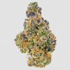 Mochi Weed Strain inherits its genetic lineage from two renowned strains: Sunset Sherbet and Thin Mint Girl Scout Cookies. Sunset Sherbet, know...