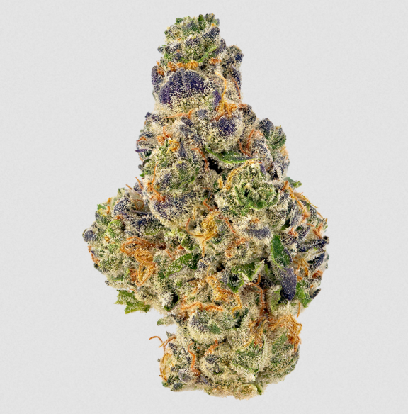 Mochi Weed Strain inherits its genetic lineage from two renowned strains: Sunset Sherbet and Thin Mint Girl Scout Cookies. Sunset Sherbet, know...