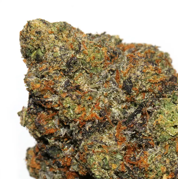 Black Runtz Strain stands tall as a testament to the artistry of cannabis cultivation. Meticulously crafted by expert cultivators, this hybrid strain is a...