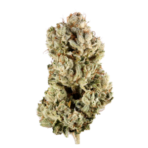 GG4 Weed Strain is a hybrid strain that has gained legendary status for its robust genetics and exceptional effects. Crafted through the careful breeding of........