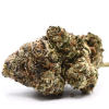 Super Runtz Strain is a hybrid strain born from the crossing of two legendary cultivars: Gelato and Zkittlez. This carefully selected genetic lineage...