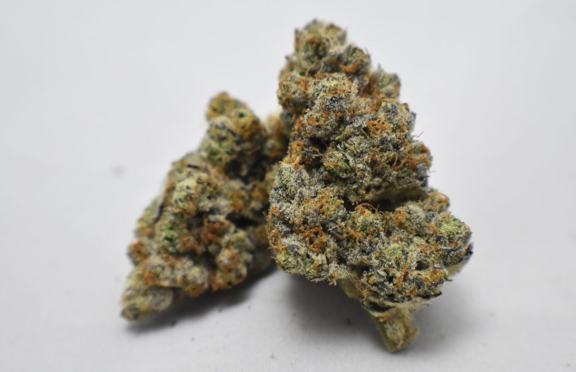 Apple Gelato  stands as a testament to the evolving landscape of cannabis products, where innovation meets tradition to deliver a truly exceptional...